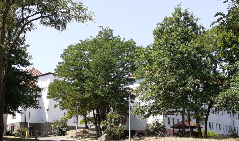 Waldkliniken Auensee gGmbH